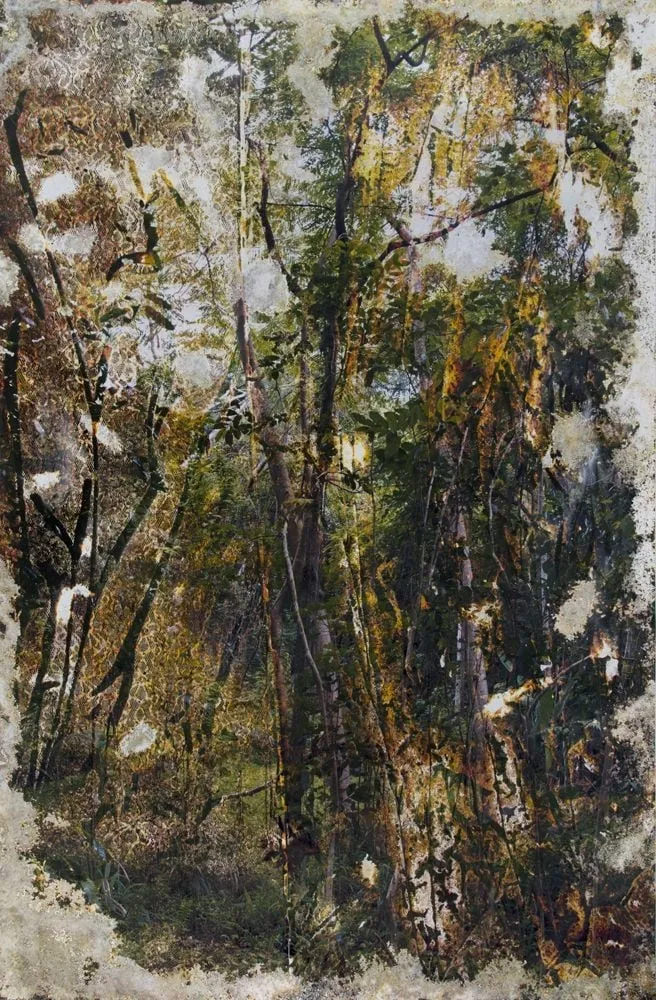 Matthew Brandt, Wai’anae 92602, 2015