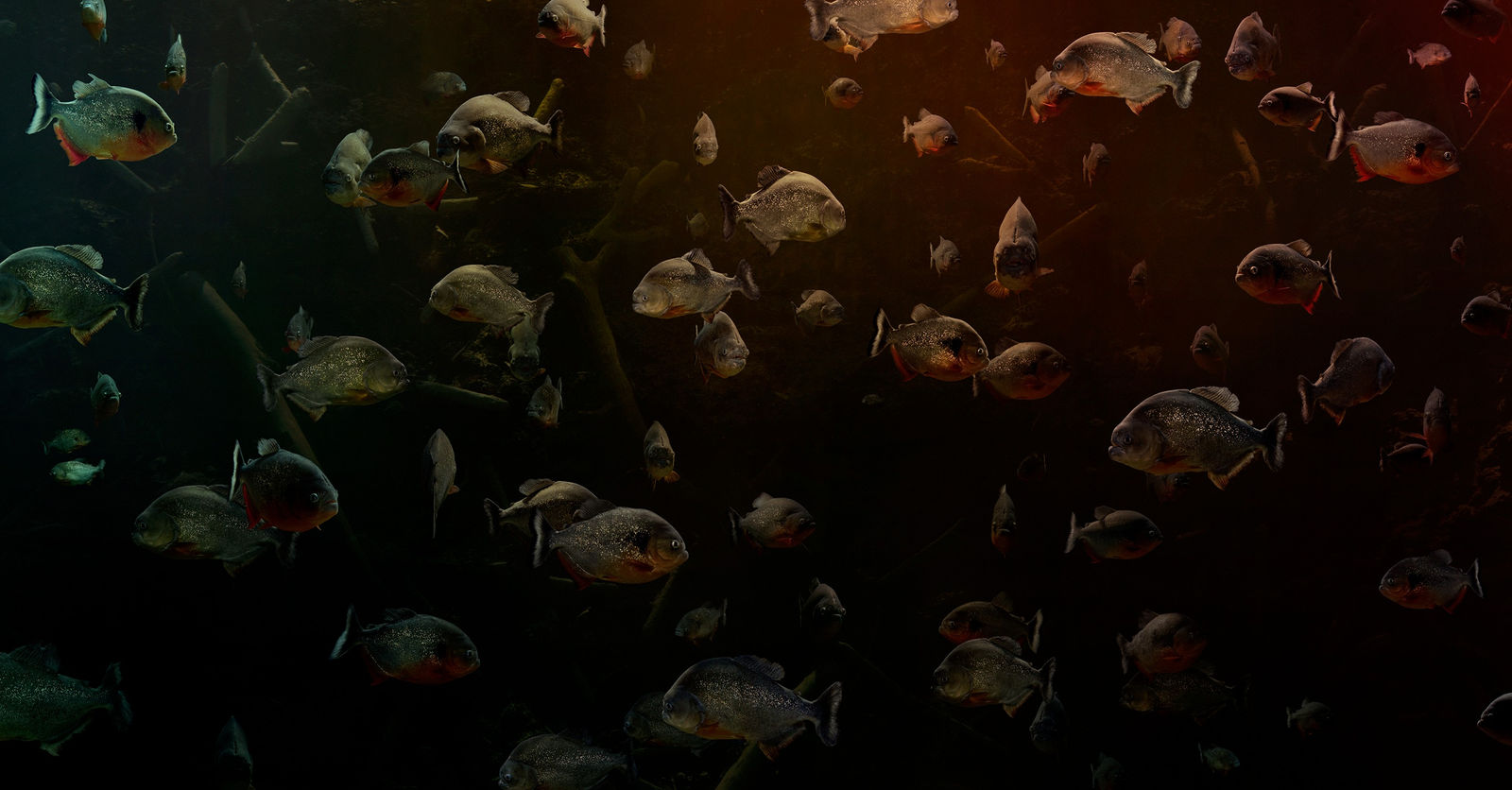 Simen Johan, Untitled #201, 2019