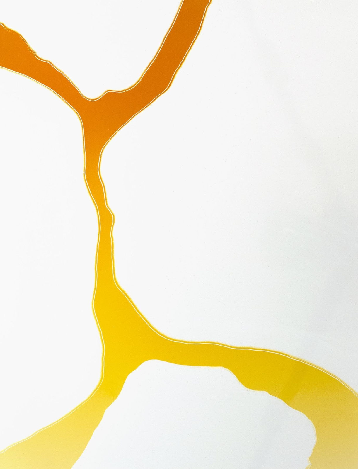 Marco Breuer, Untitled (C-1912), 2017