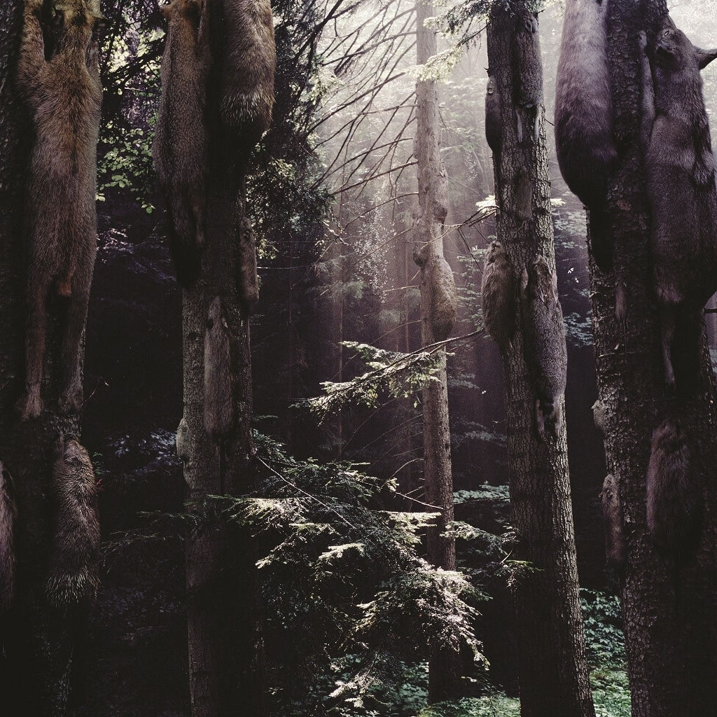 Simen Johan, Untitled #110, 2003