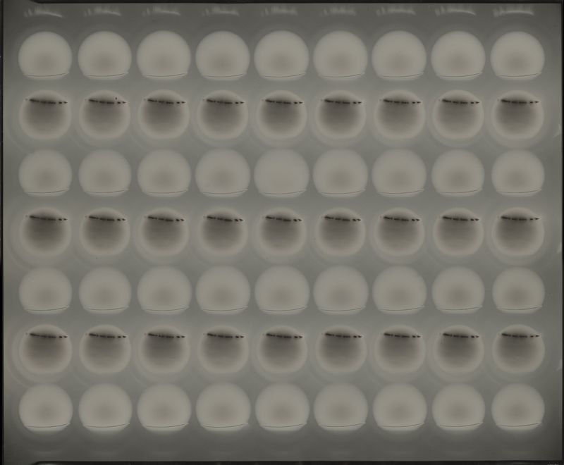 Chris McCaw, Poly-optic #49, 2015