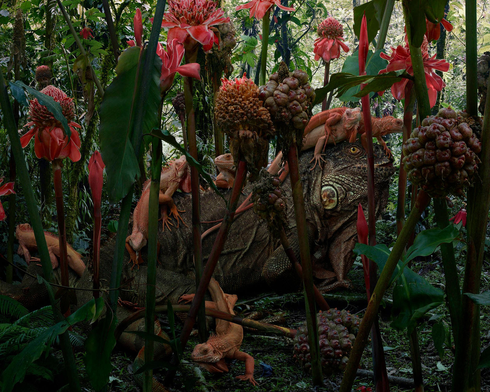 Simen Johan, Untitled #198, 2019