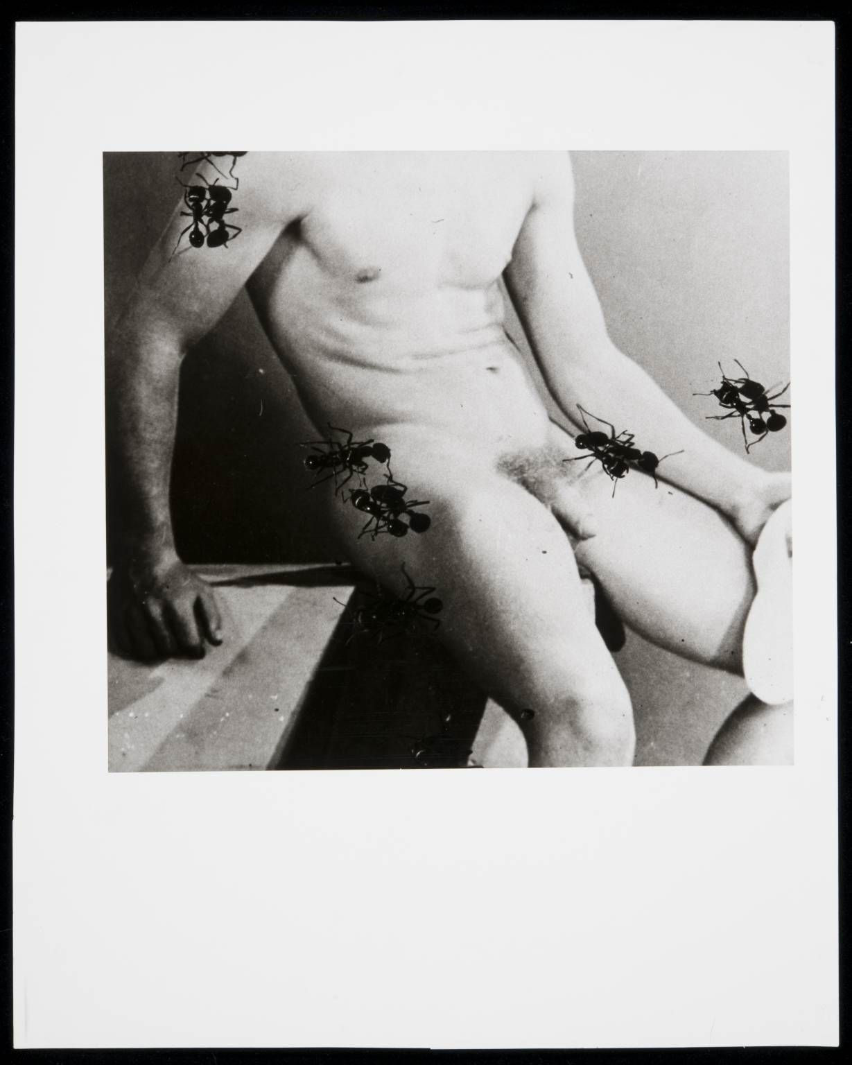 David Wojnarowicz, Untitled (Desire), 1988