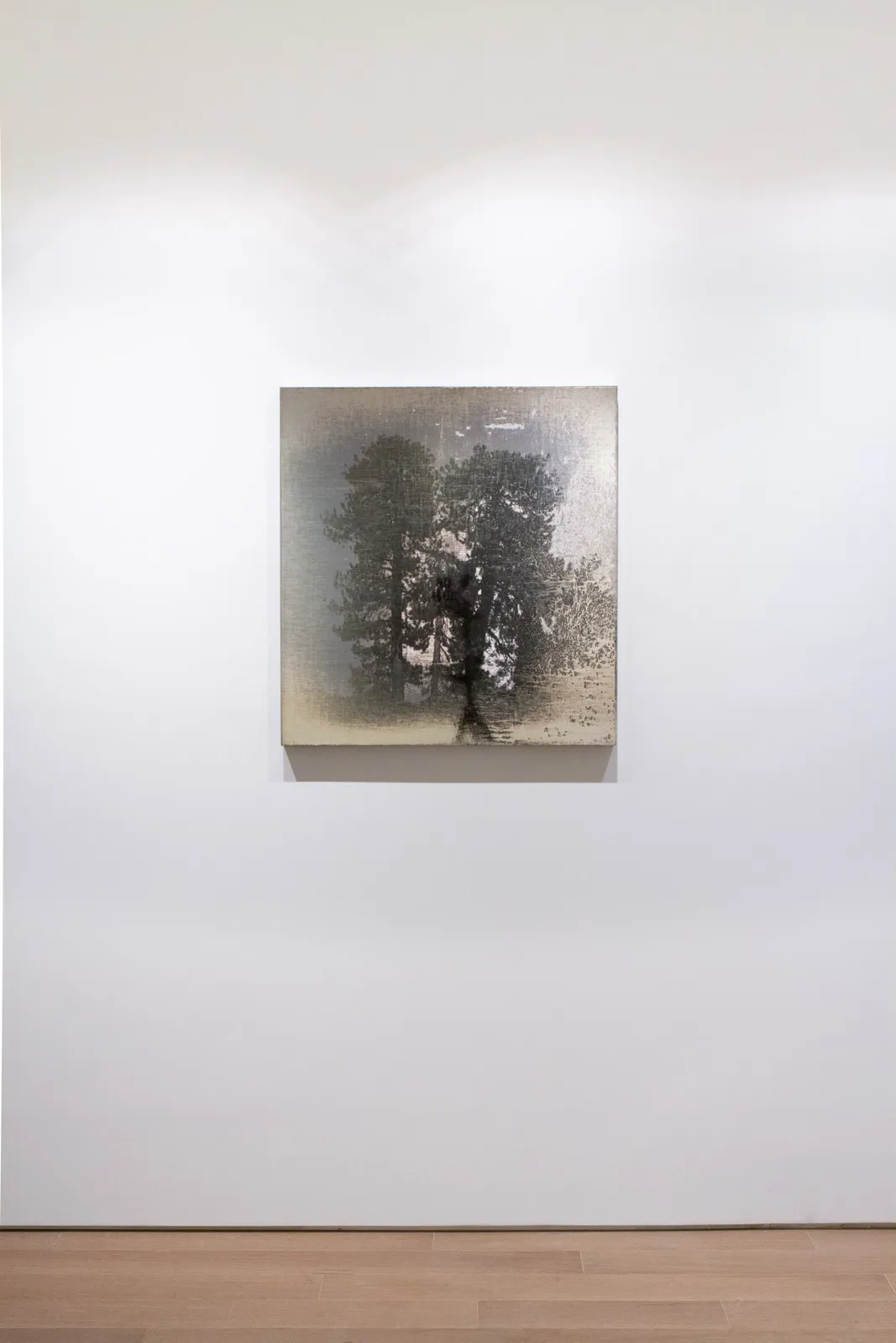 Matthew Brandt, AgXSB3129 (San Bernardino Forest), 2022