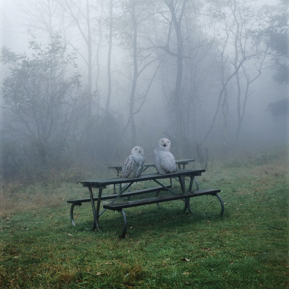 Simen Johan, Untitled #132, 2005