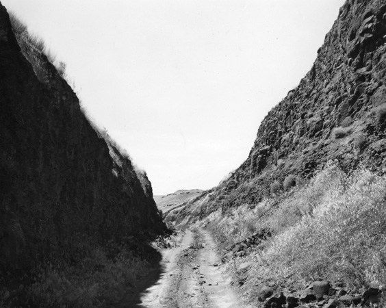 Mark Ruwedel, Northern Pacific #2, 2001