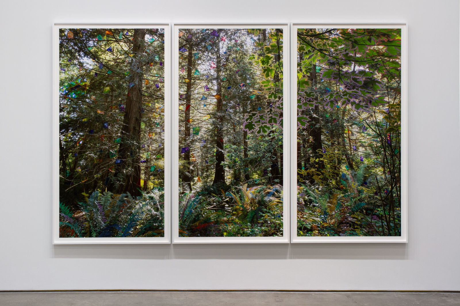 Sarah Anne Johnson, Beautiful Day, 2025