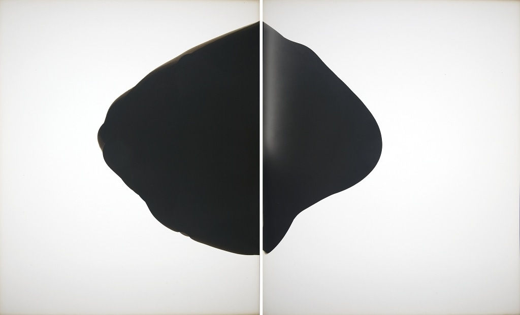 Alison Rossiter, Fuji, exact expiration date unknown, ca. 1930's, processed in 2010 (#2), 2010