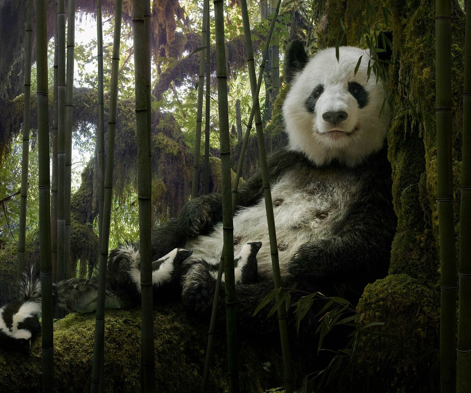 Simen Johan, Untitled #203, 2019