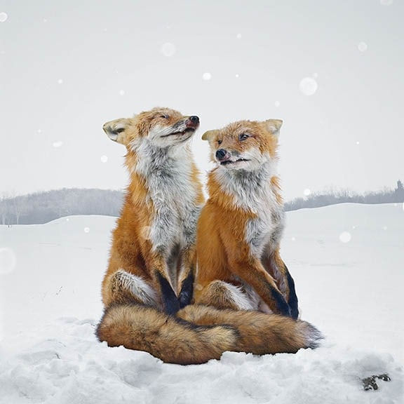 Simen Johan, Untitled #136, 2006