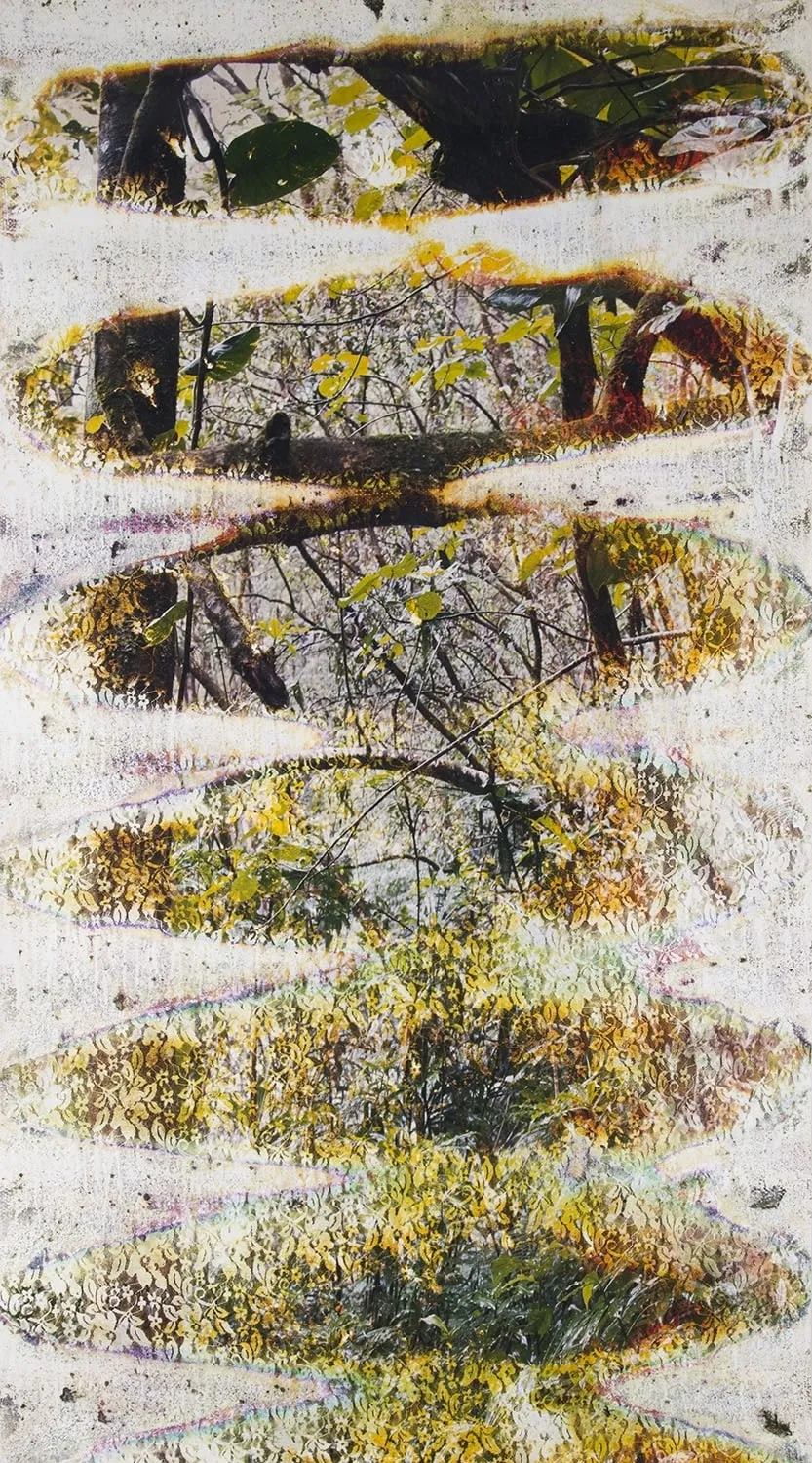 Matthew Brandt, Wai'anae 84361, 2015