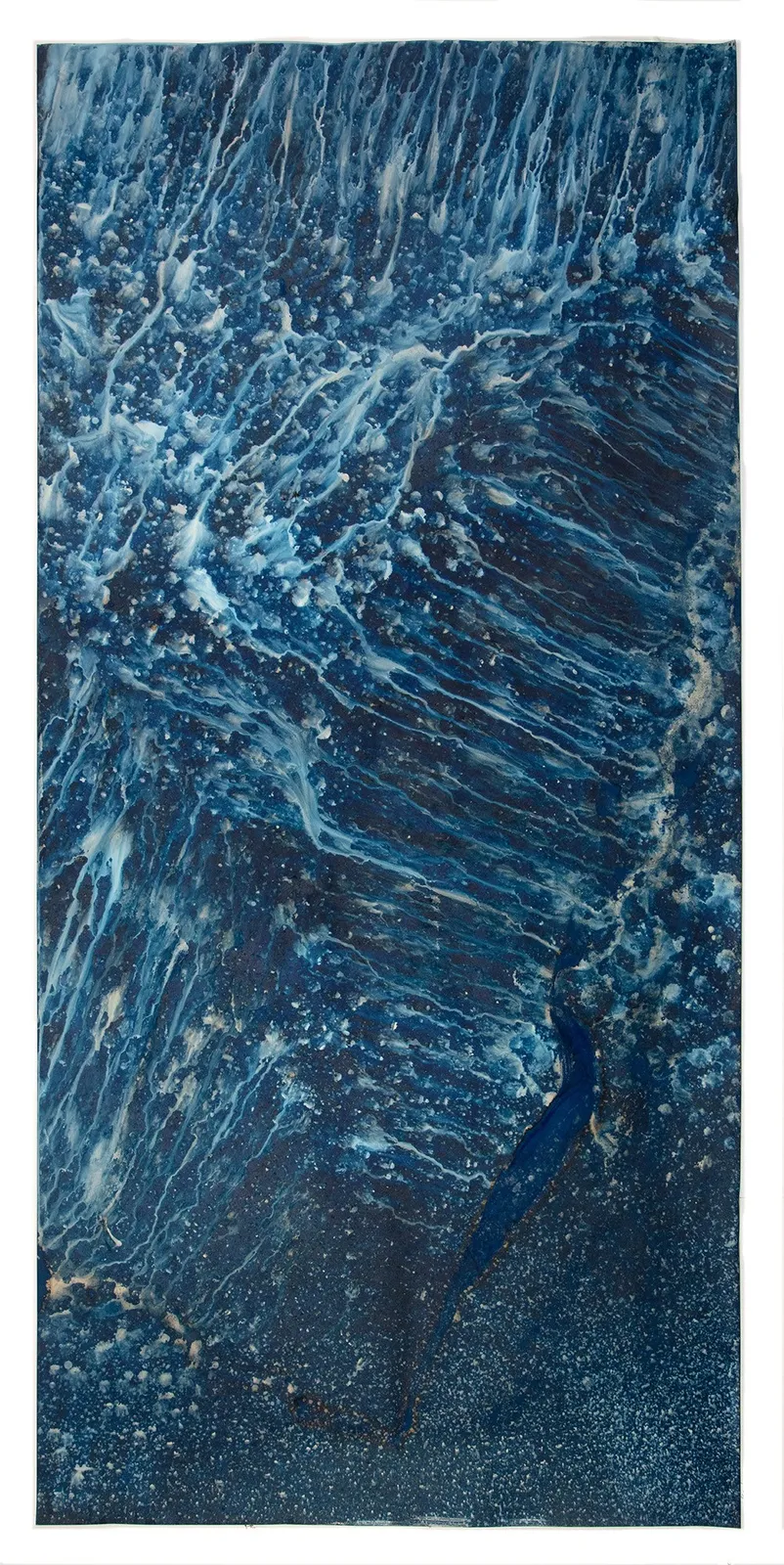 Meghann Riepenhoff, Ecotone #907 (Bainbridge Island, WA 06.03.20, Draped on Maple Windfall and Sword Ferns, Showers), 2020