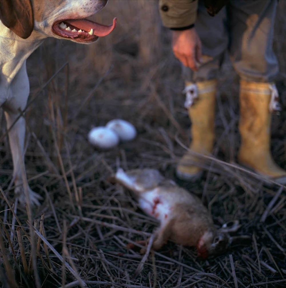 Alessandra Sanguinetti, Untitled, From the series On the Sixth Day, Plate XVI, 1996-2004