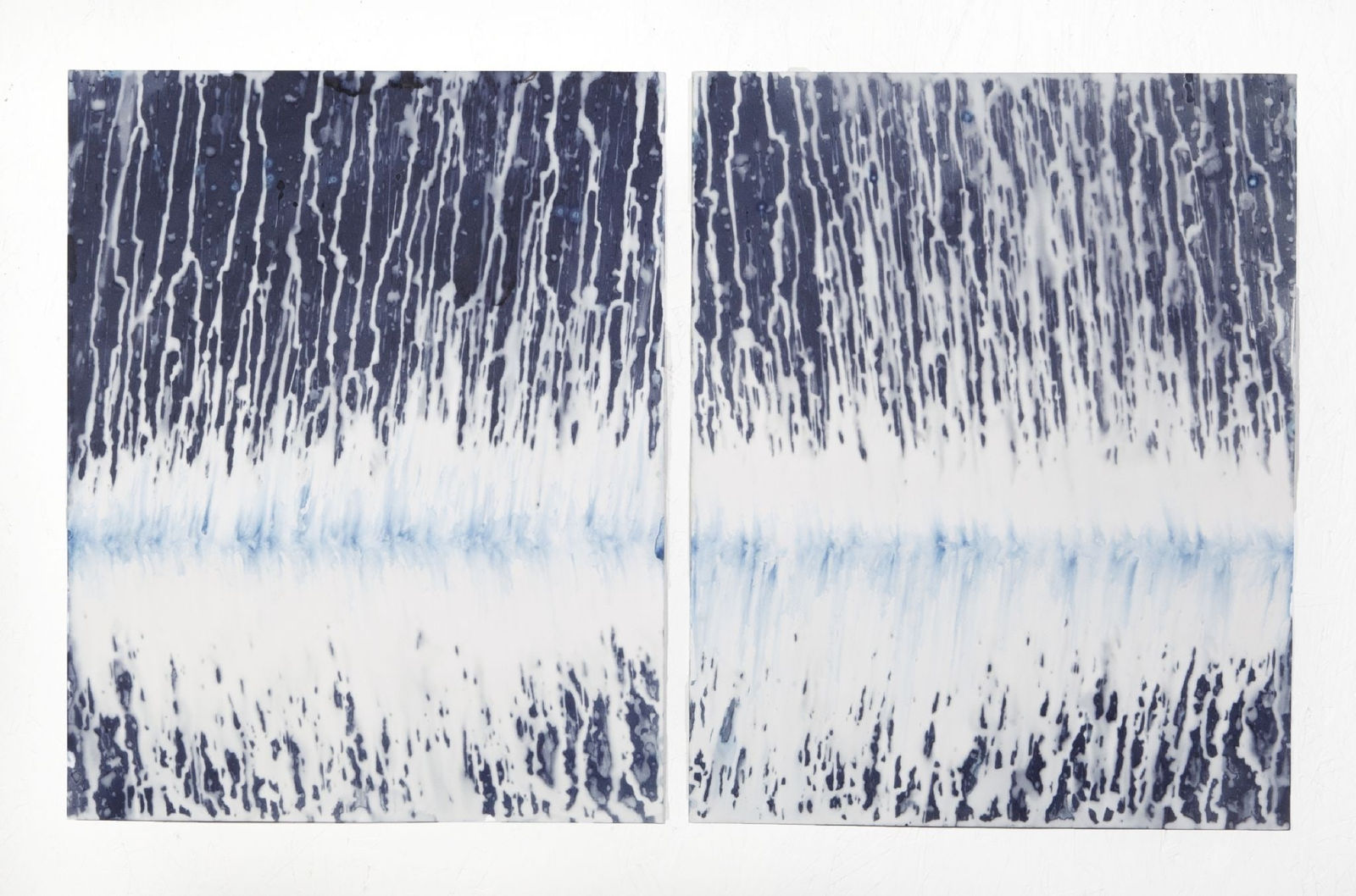 Meghann Riepenhoff, Ecotone #53 (Bainbridge Island, WA 04.26.16, Draped with Cloudburst), 2016