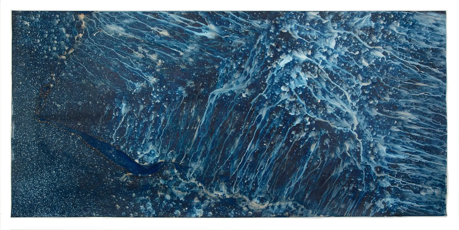 Meghann Riepenhoff, Ecotone #907 (Bainbridge Island, WA 06.03.20, Draped on Maple Windfall and Sword Ferns, Showers), 2020