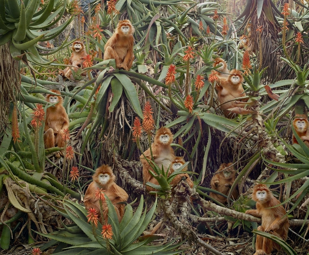 Simen Johan, Untitled #174, 2013