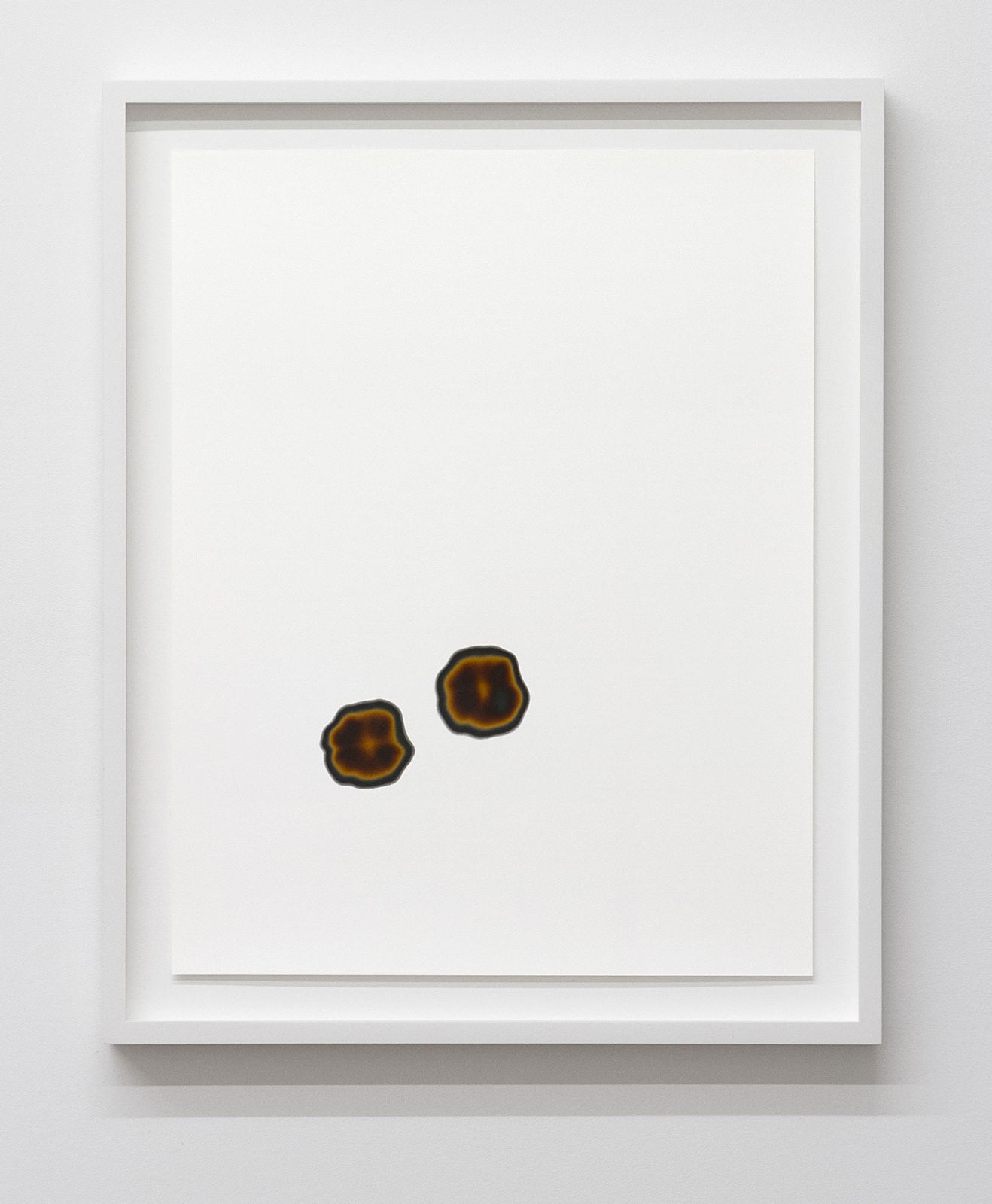 Marco Breuer, Untitled (Two), 1999