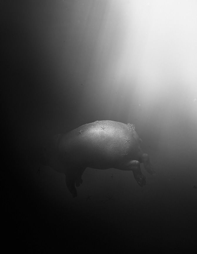 Simen Johan, Untitled #166, 2013