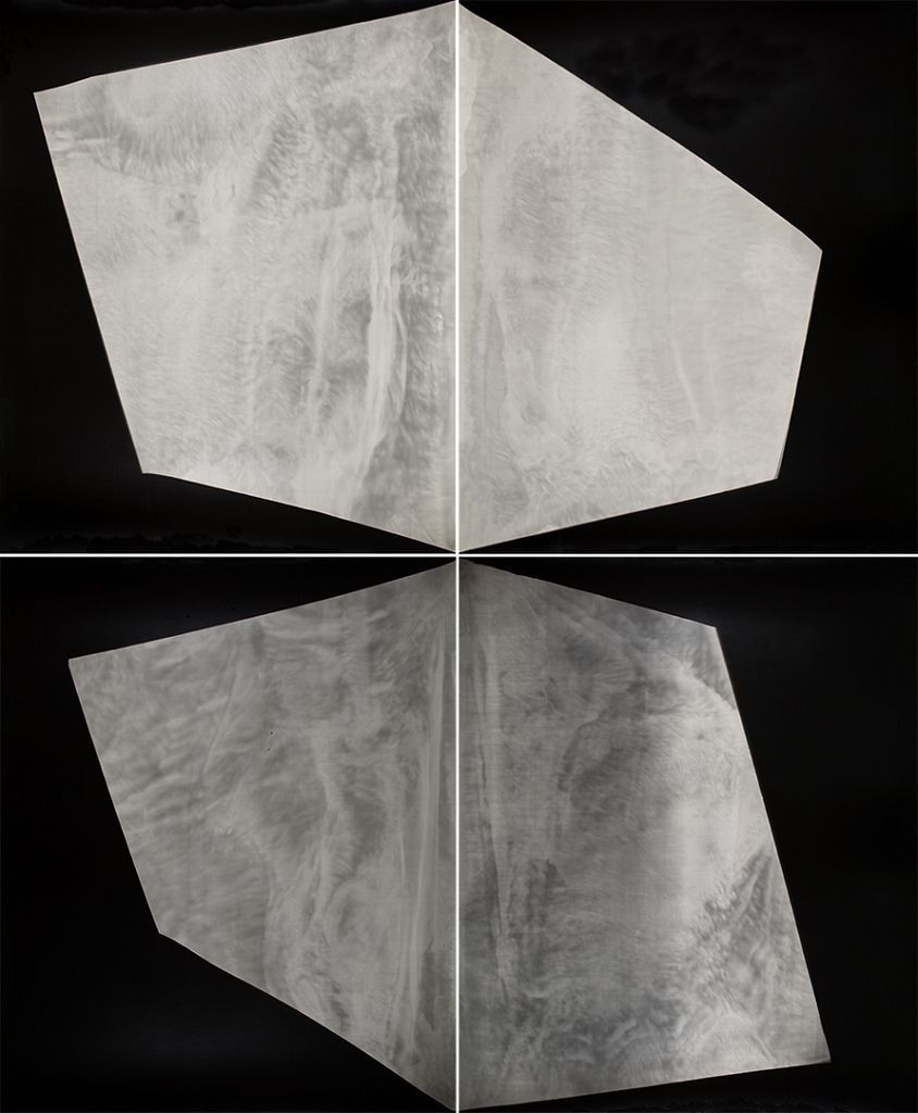 Alison Rossiter, Haloid Military, expired October 1957, processed 2015 (#11)