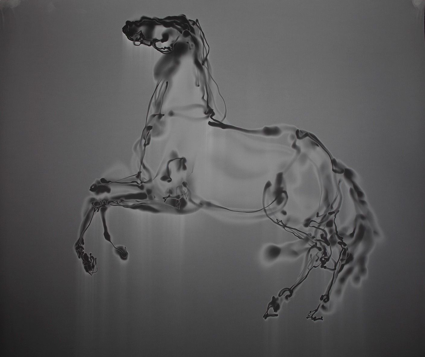 Alison Rossiter, Light Horse, Jacques-Louis David, Napoleon Crossing the Alps, 2006