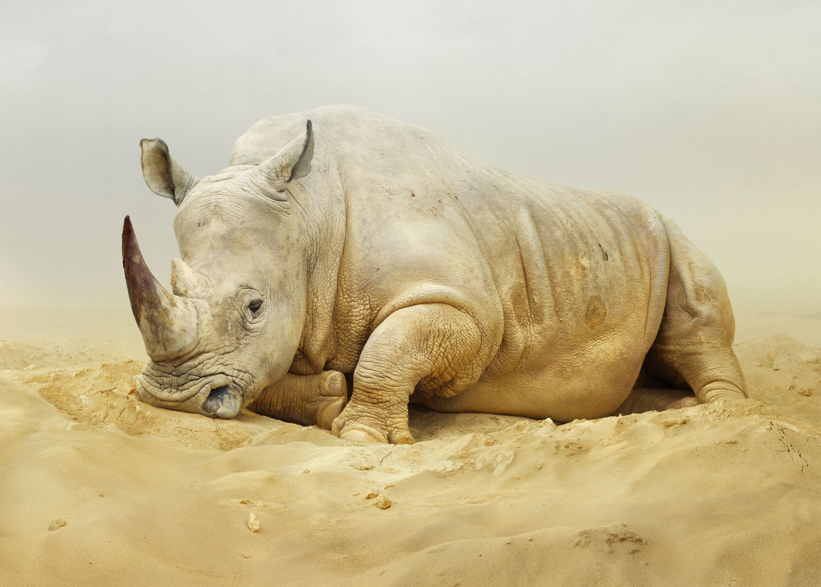 Simen Johan, Untitled #168, 2011