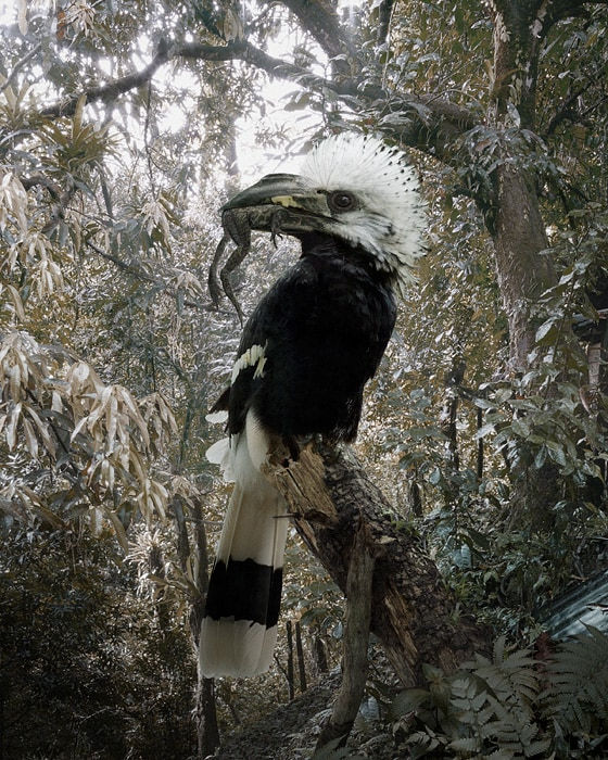 Simen Johan, Untitled #155, 2010