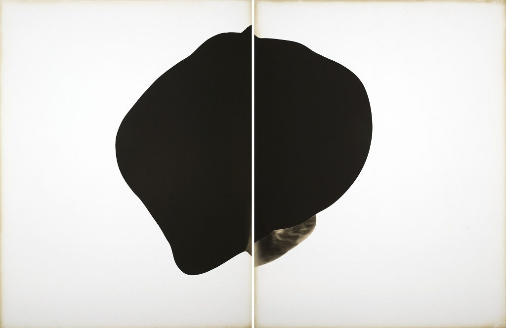 Alison Rossiter, Haloid Platina, exact expiration date unknown, ca. 1915, processed in 2010 (#9), 2010