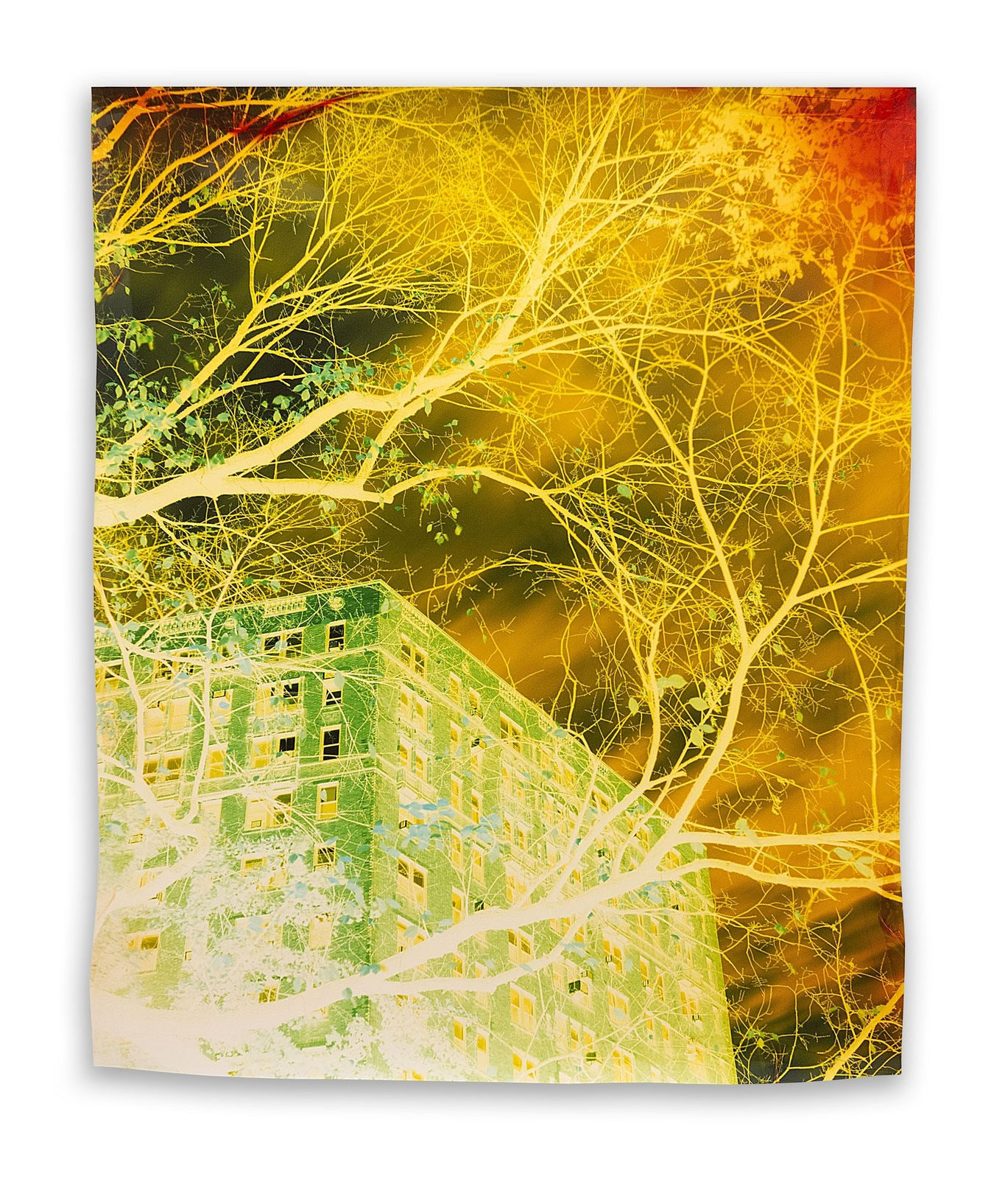 John Chiara, 108th at Broadway, 2015