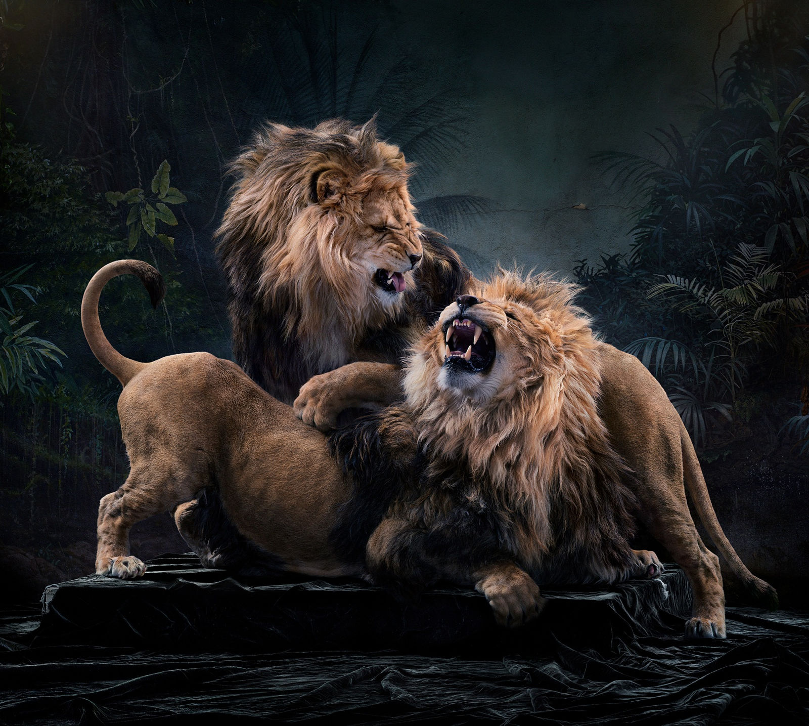 Simen Johan, Untitled #196, 2018