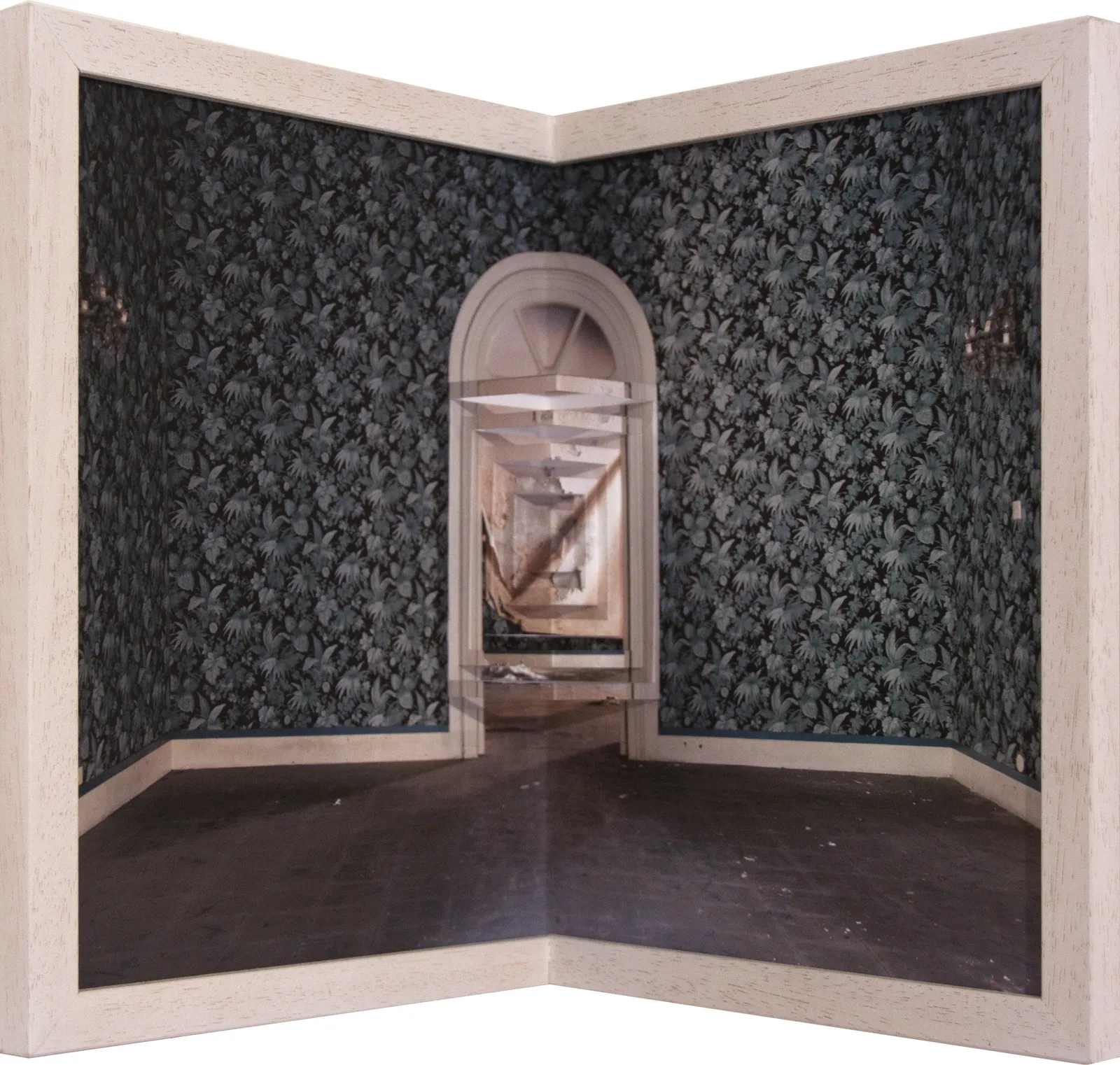 Silvia Camporesi, Apice #5, 2013