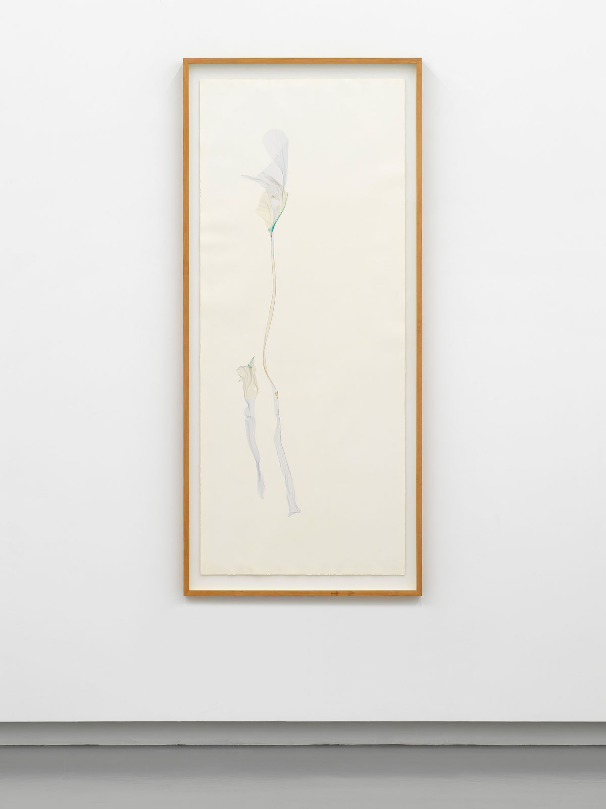 Beatrice Pediconi, Naked Man Orchid, 2023-2024