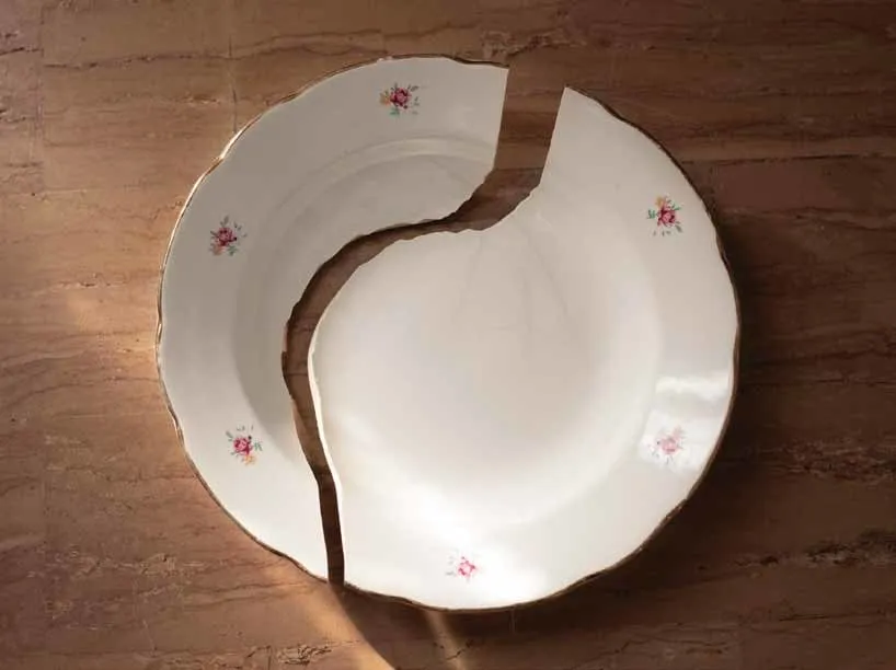 Silvia Camporesi, Domestica, 2020