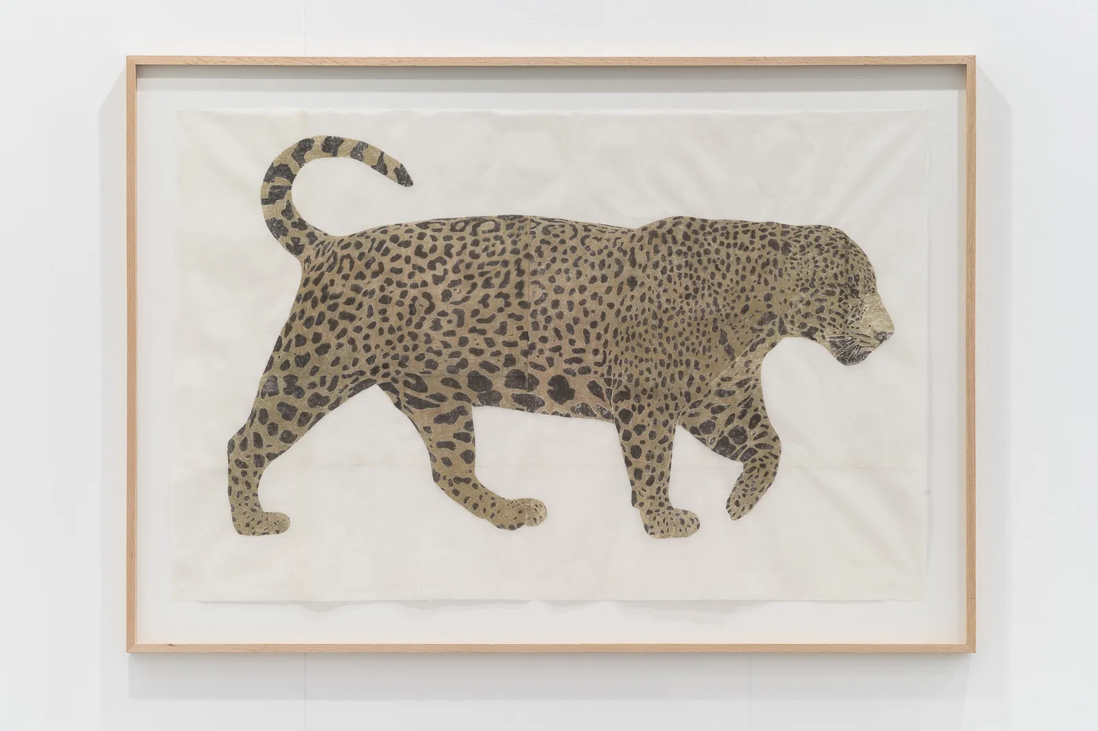 Marta Roberti, Giaguaro, 2025