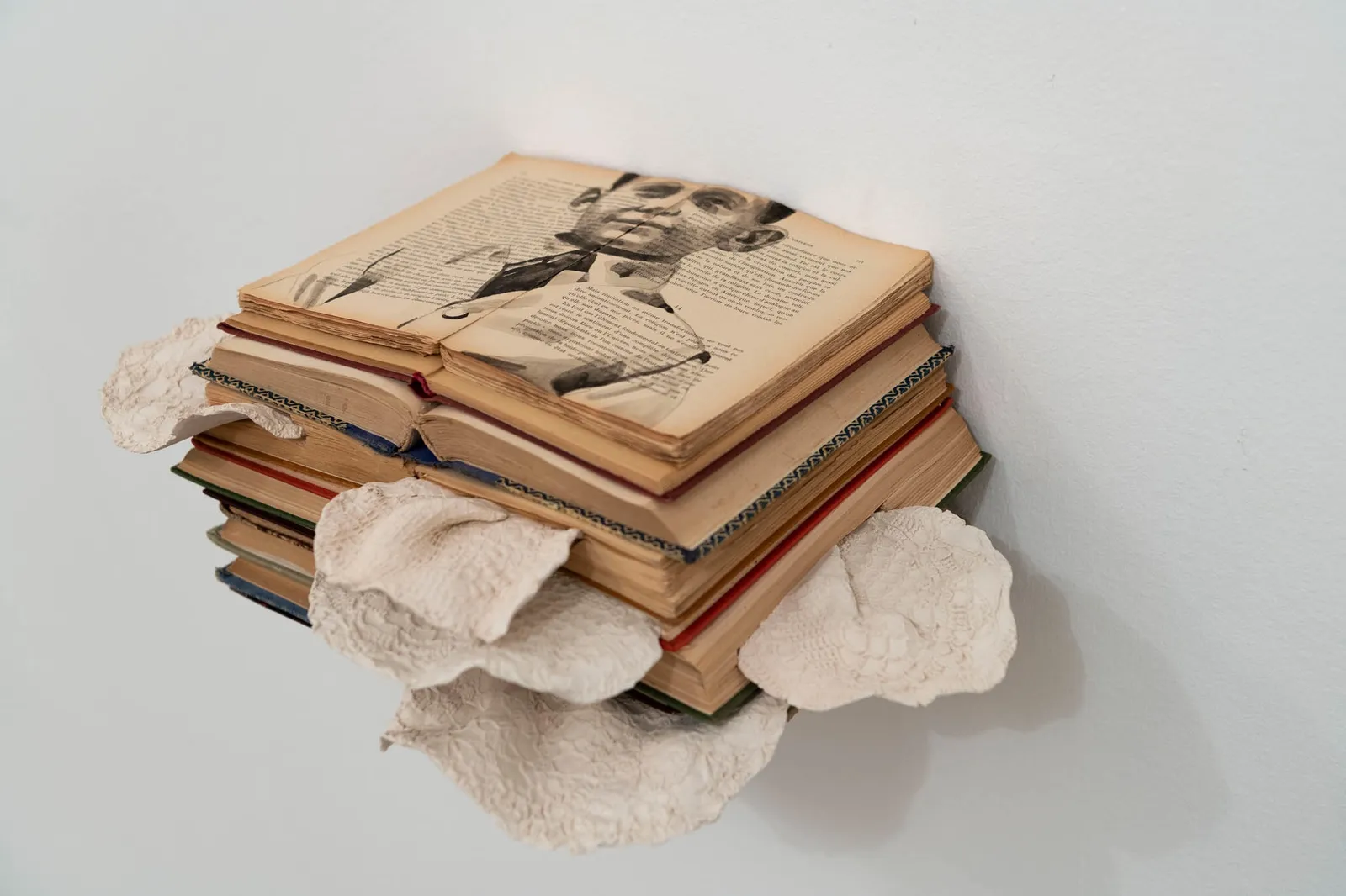 Ekaterina Panikanova, Attraversando Il Mio Giardino #4, 2019