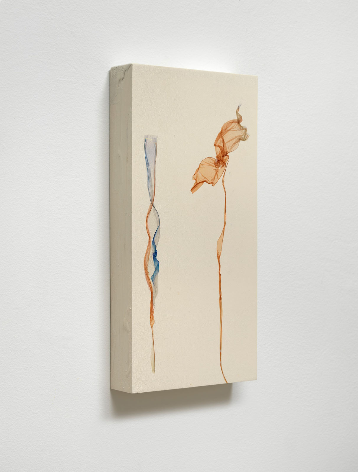 Beatrice Pediconi, Fiori del Mare <br> after Gianni D'Elia, 2025