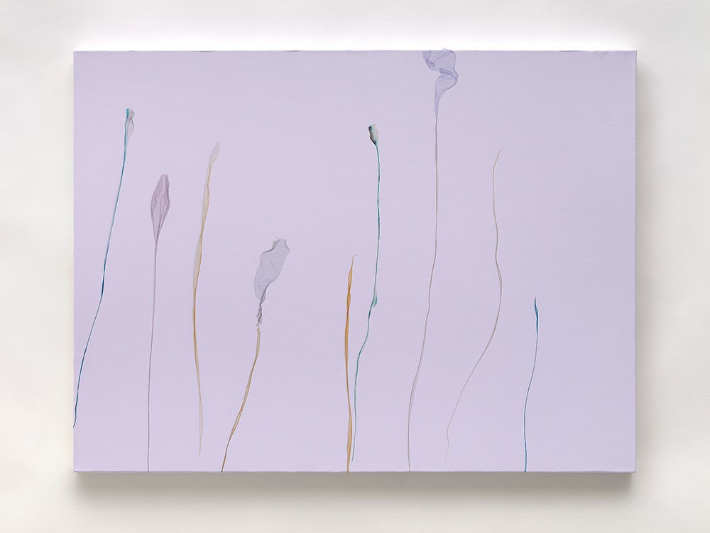 Beatrice Pediconi, I fiori di New York, 2023