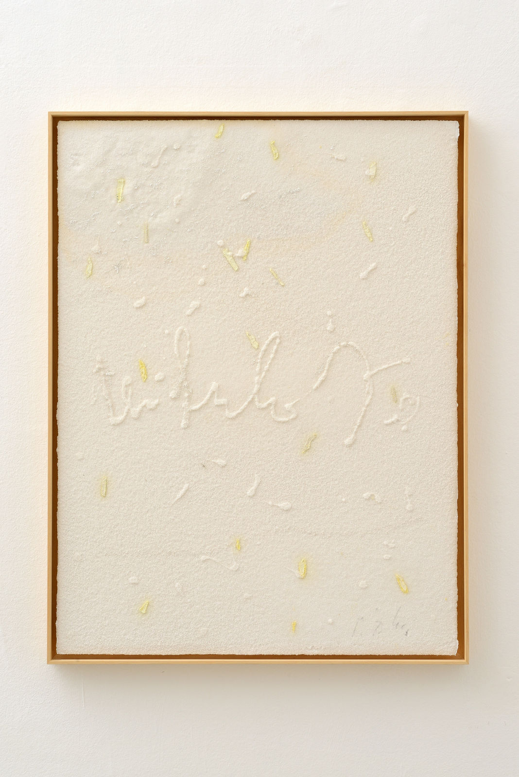 Pier Paolo Calzolari, Scritture, 2019