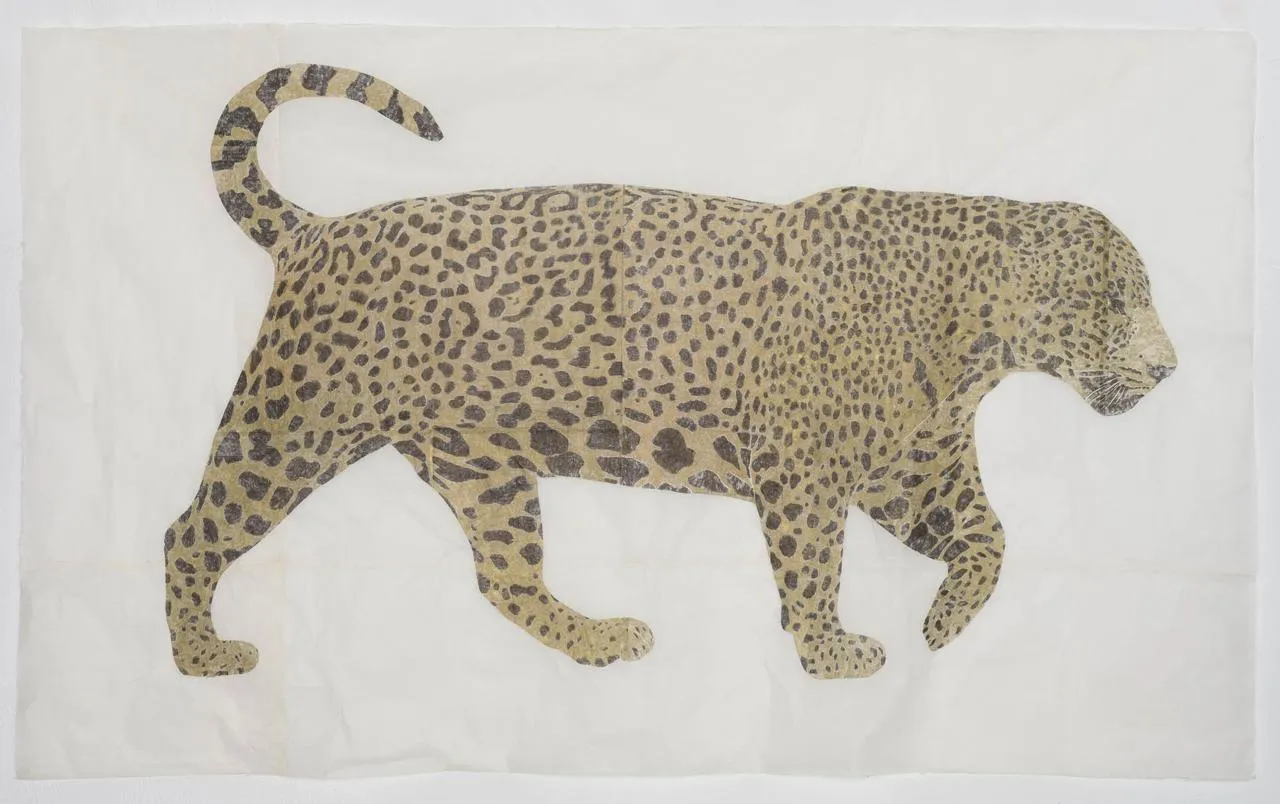 Marta Roberti, Giaguaro, 2025