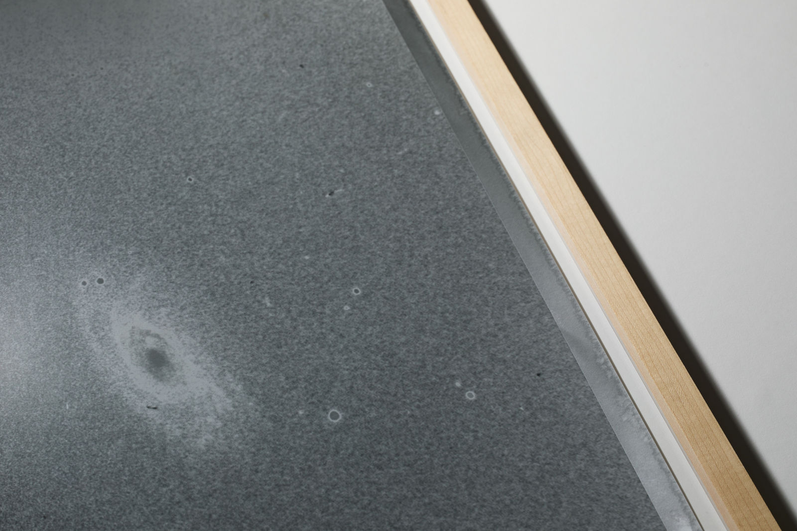 Dan Hojnacki, Andromeda, 2022