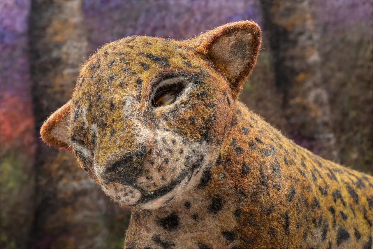 Susan Aaron-Taylor, Amur Leopard, 2020