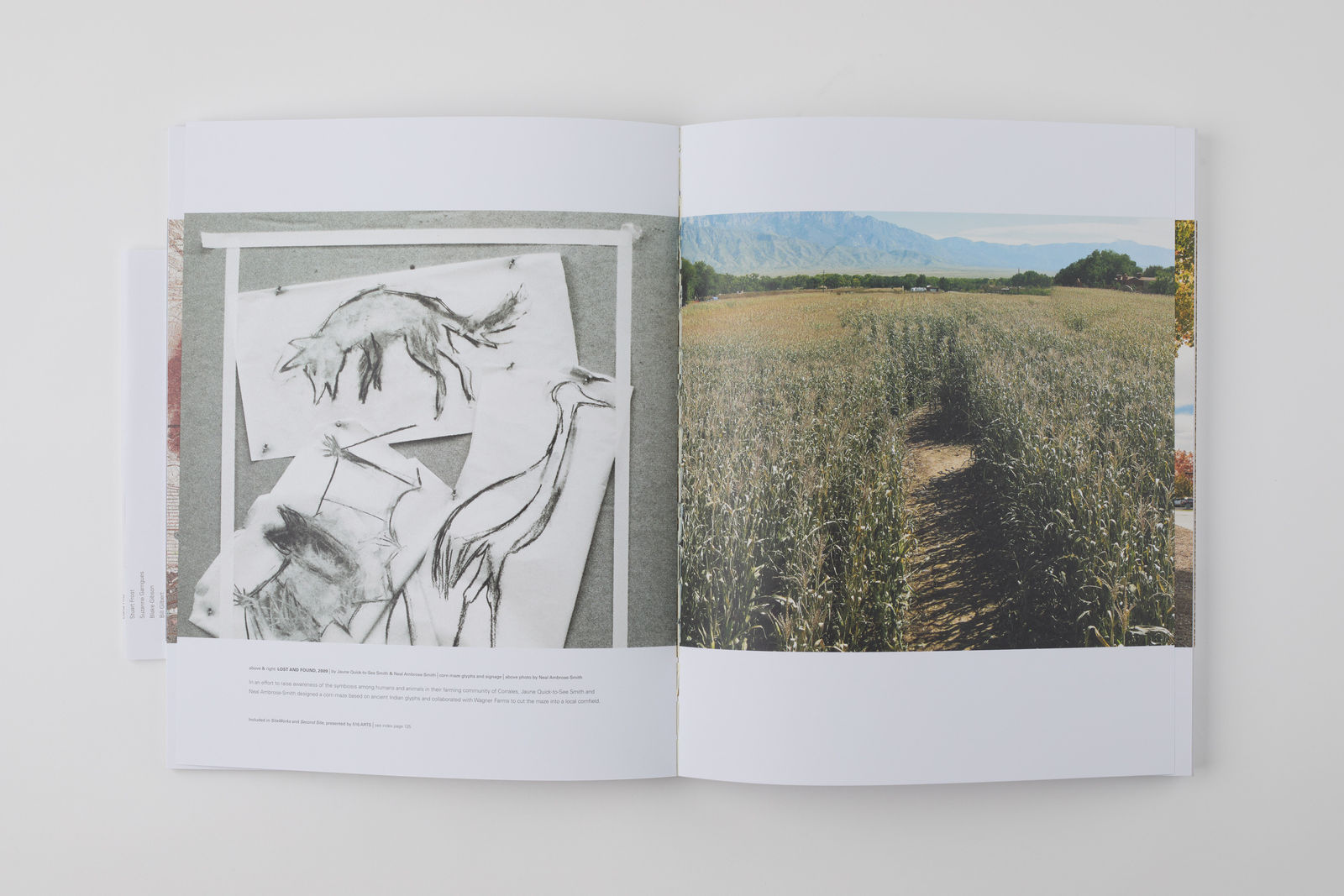 Radius Books, Land Art / New Mexico, 2009