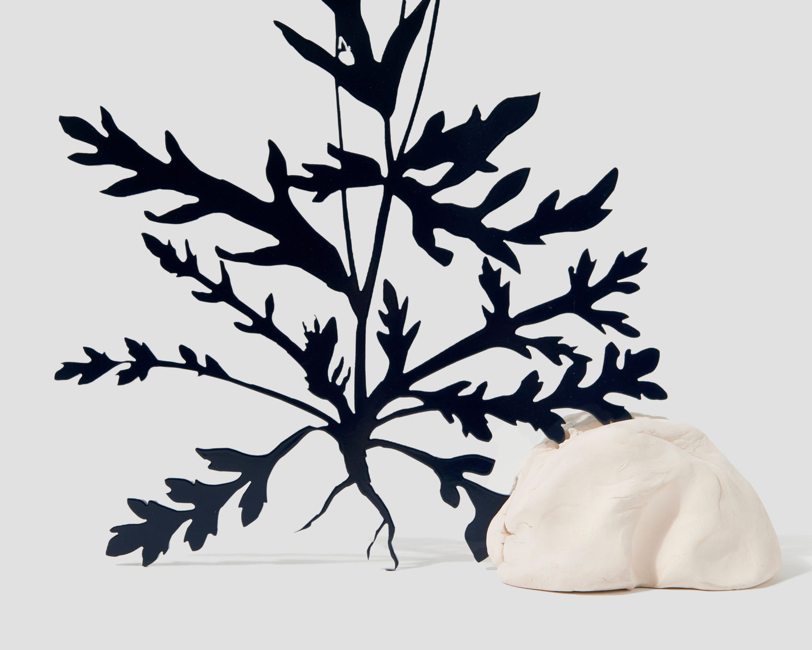 Future Retrieval, Navy Poppy, 2019