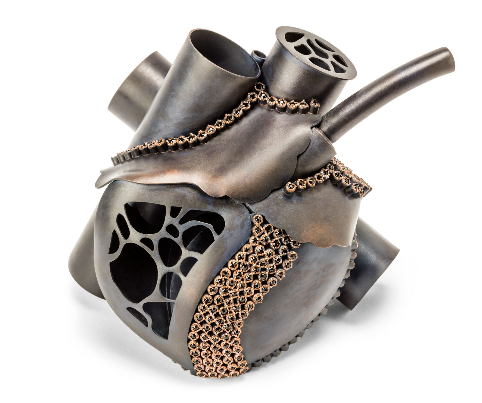 Holland Houdek, Cardiotubular Apparatus - Heart Replacement, 2016