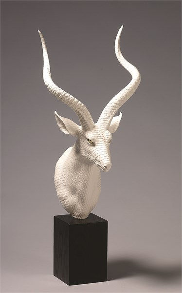 Wookjae Maeng, Adaptation - Nyala, 2012