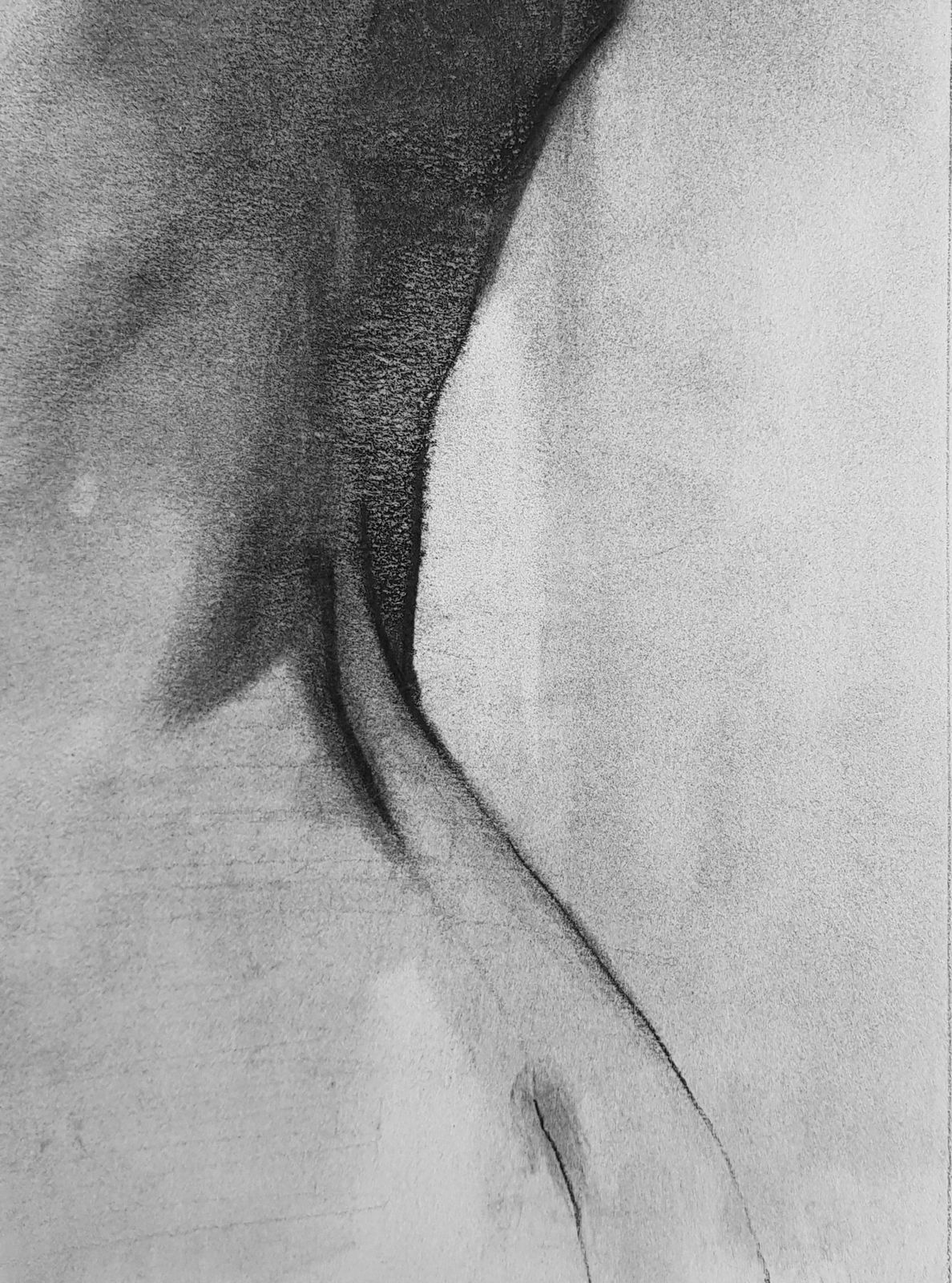 Shaun Othen, Charcoal Study 1