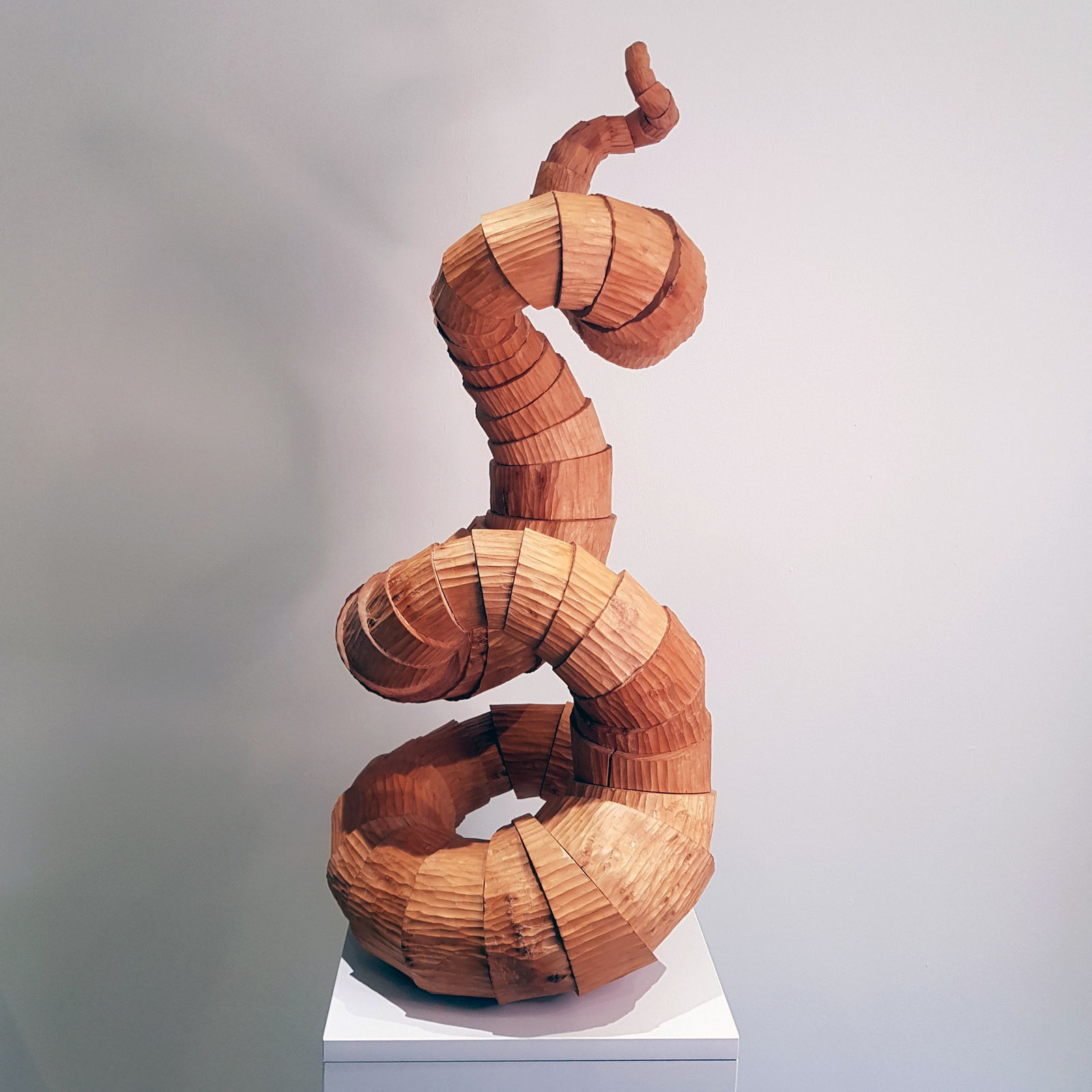 Steve Sutton, Unwind, 2021