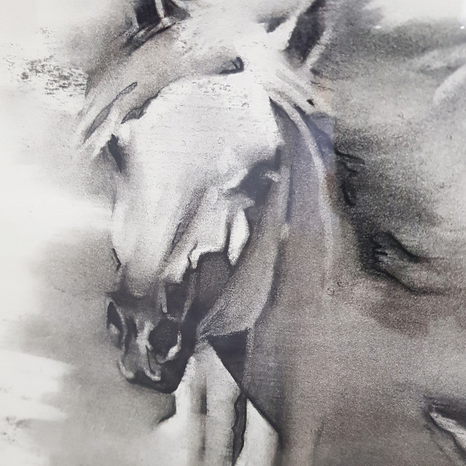 Shaun Othen, Harmony in Light