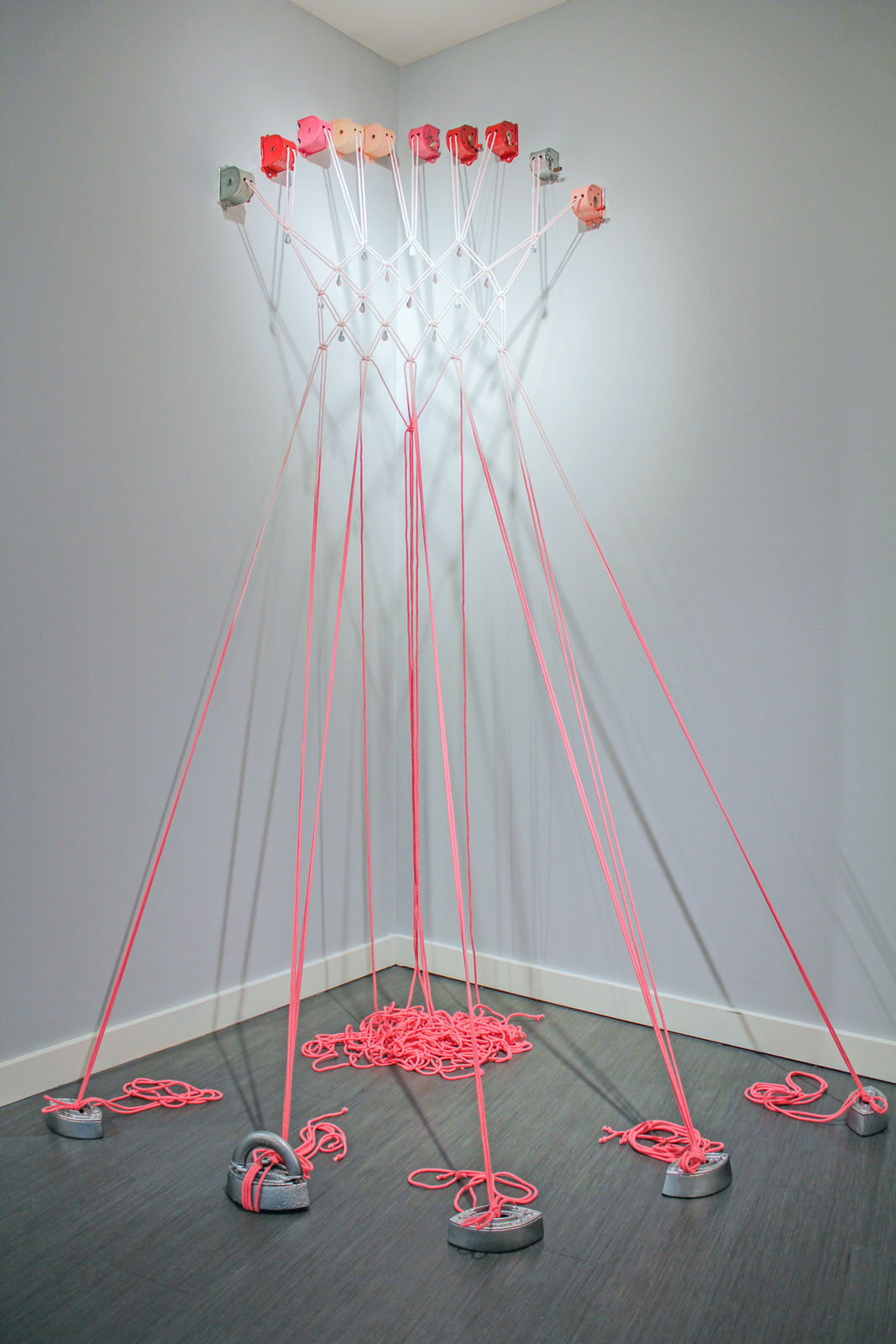 Holly Ballard Martz, Ensnared, 2020