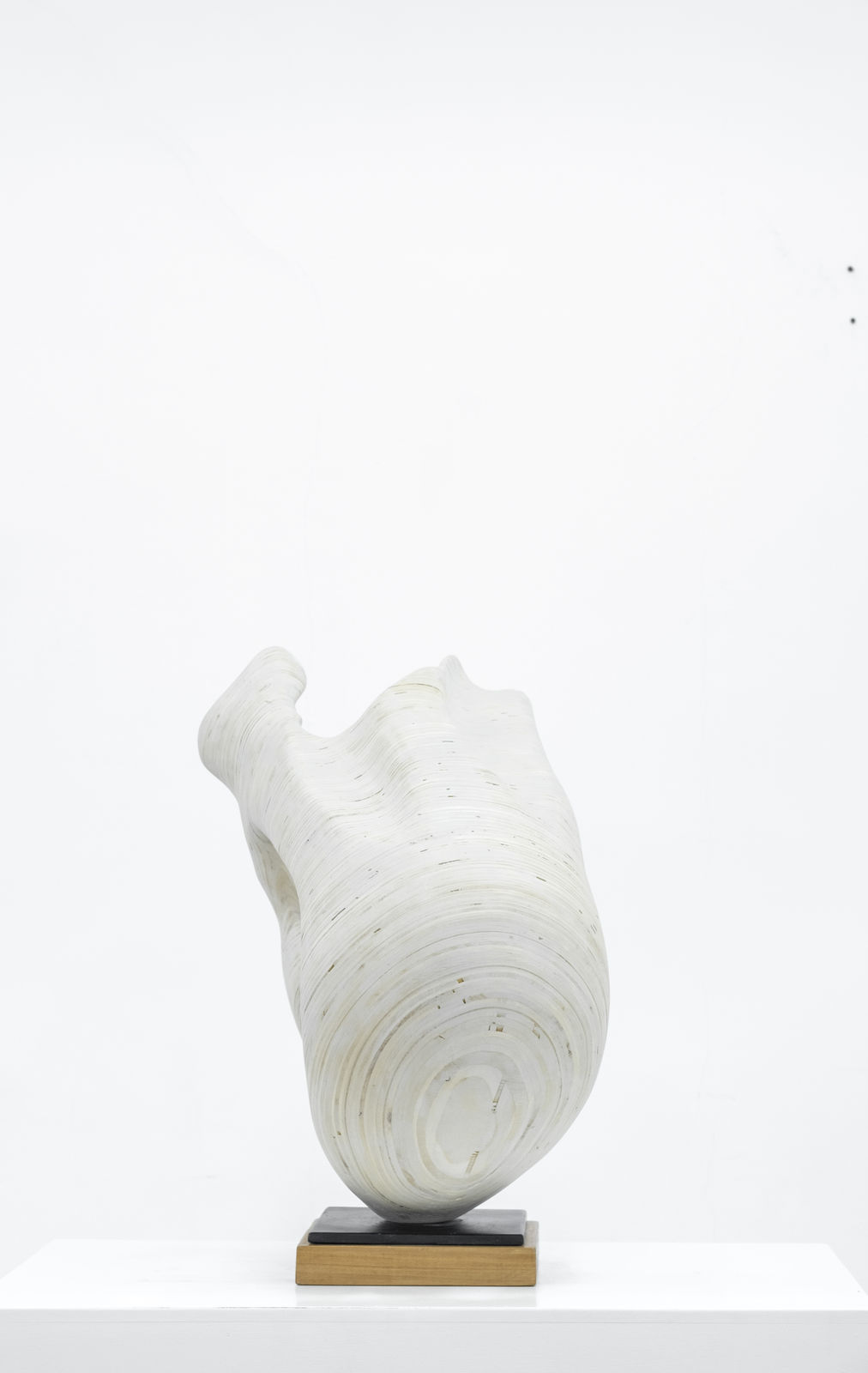 Adiskidan Ambaye, Existence, 2020