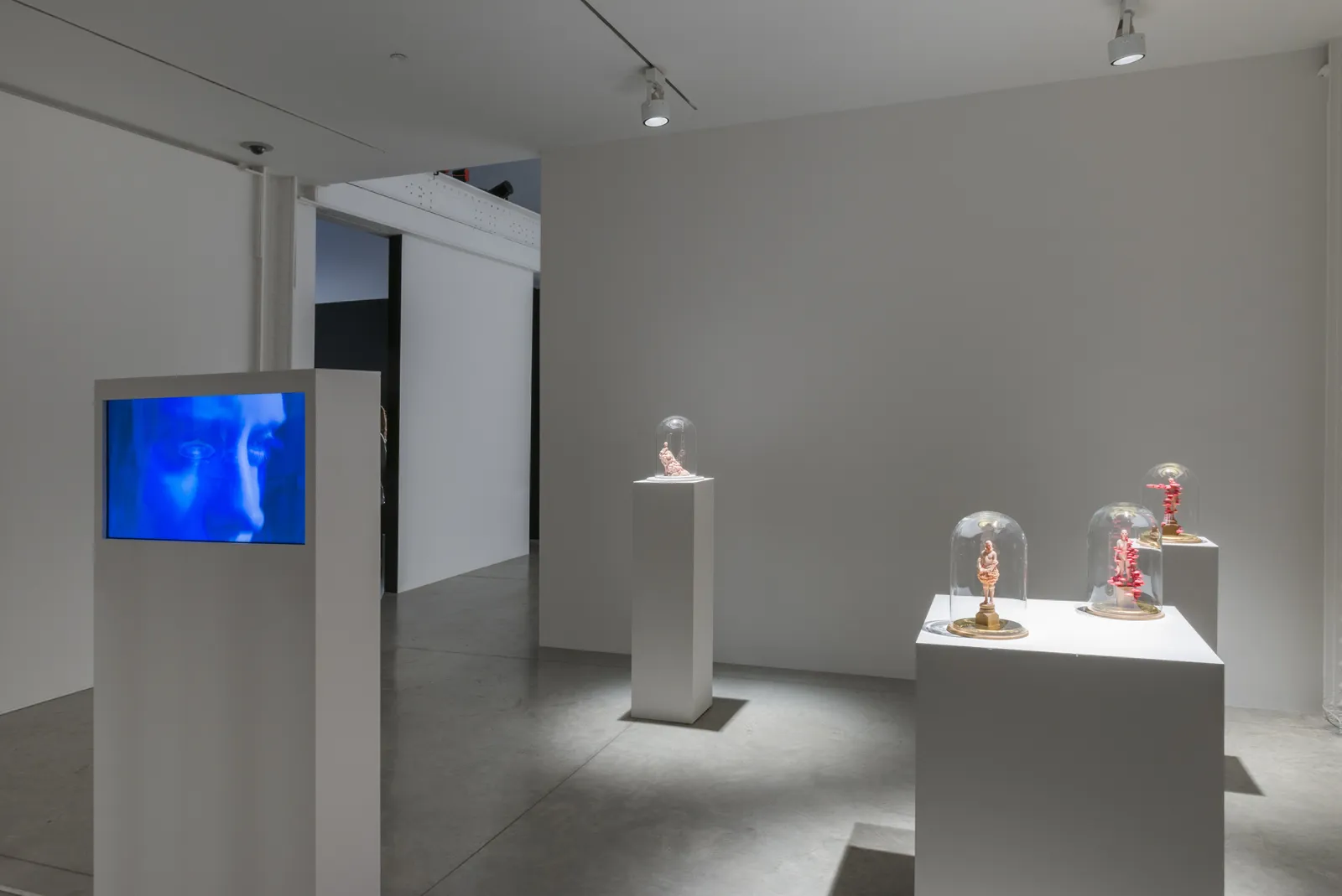 Installation view: Like·ness, January 14 - February 13, 2016